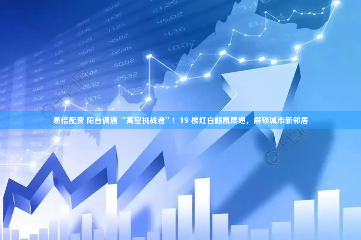 易倍配资 阳台偶遇 “高空挑战者”！19 楼红白鼯鼠展翅，解锁城市新邻居