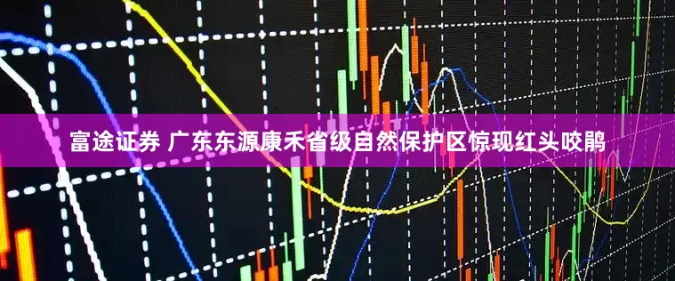 富途证券 广东东源康禾省级自然保护区惊现红头咬鹃