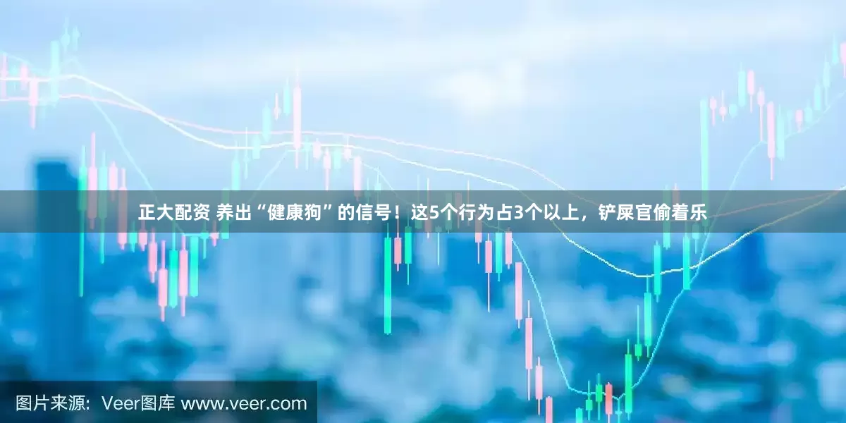 正大配资 养出“健康狗”的信号！这5个行为占3个以上，铲屎官偷着乐